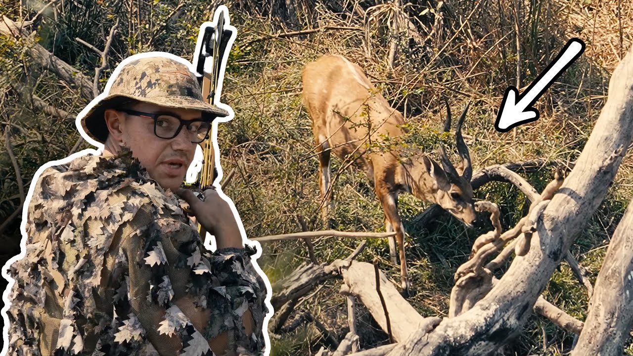 World Record Bushbuck Bowhunt | Tanzania African Adventure