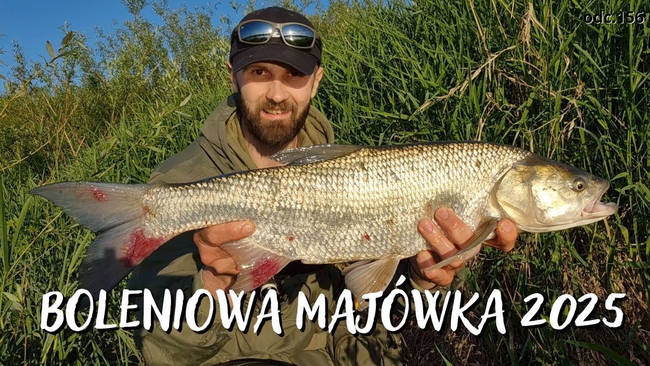 ALE BRANIE !! BOLEŃ 70cm NA WOBLERY HAND MADE / odc.156 #boleń #spinning #handmade #Wisła #fishing