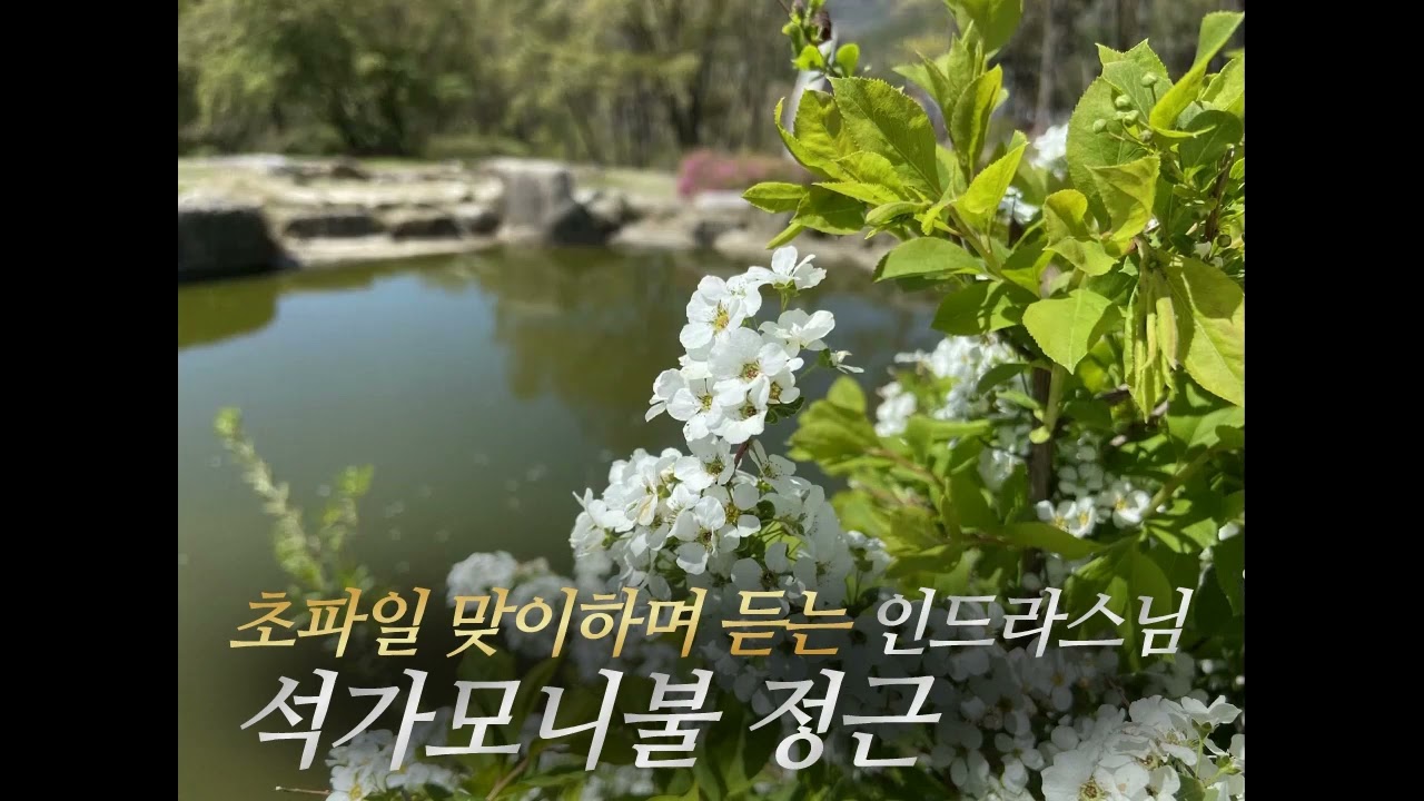불자님들 업장소멸 소원성취 ~ 부처님 오신날 듣는 인드라스님 석가모니불 정근