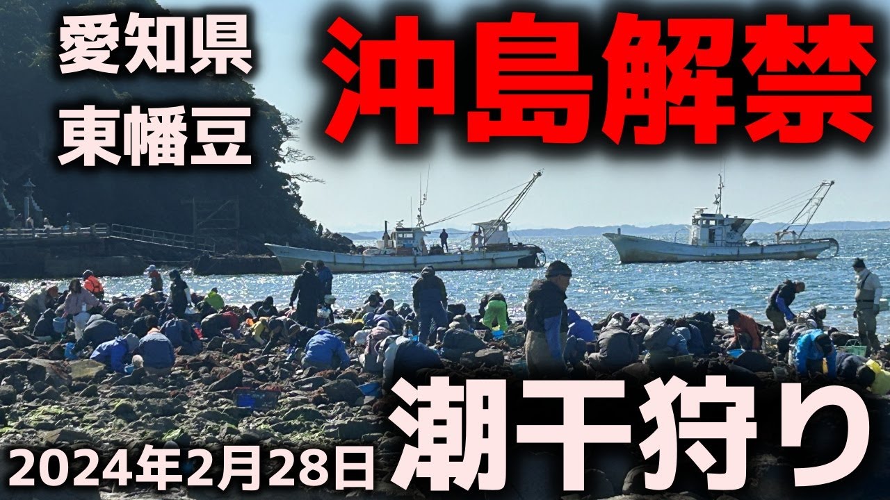 【潮干狩り】沖島解禁！2024年月2月28日愛知県東幡豆