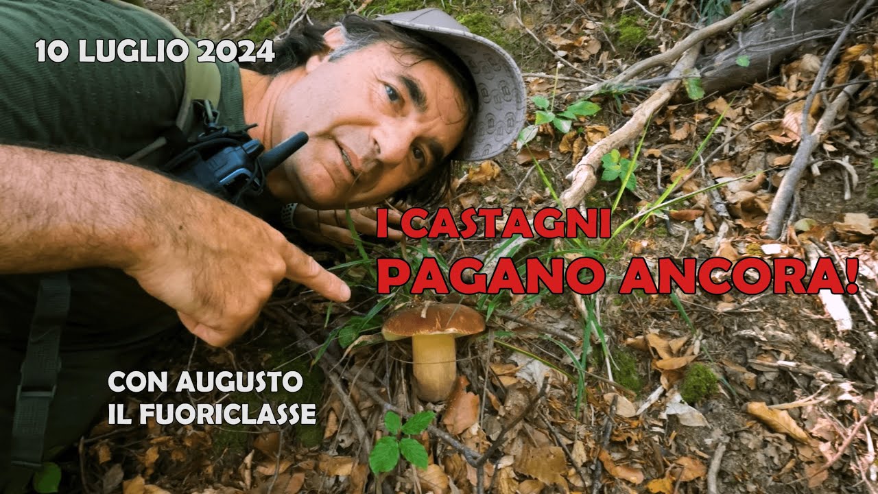 I CASTAGNI PAGANO ANCORA!  10 LUGLIO 2024