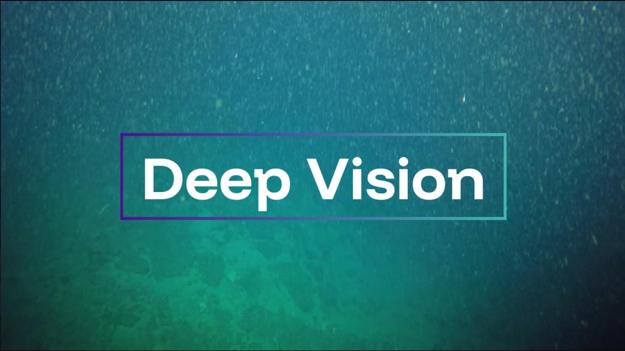 ‘Deep Vision’ project harnesses artificial intelligence to map Atlantic biodiversity