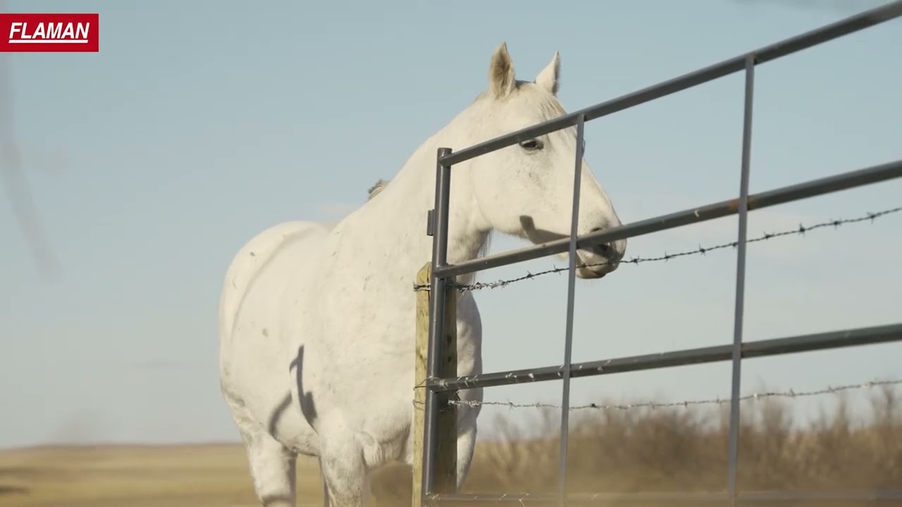 AGI Renegade Post Pounder | Flaman Agriculture