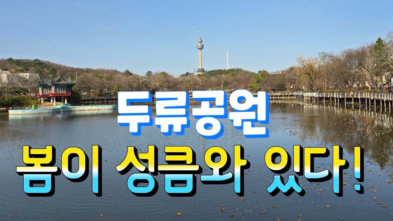 두류공원에 봄이 성큼