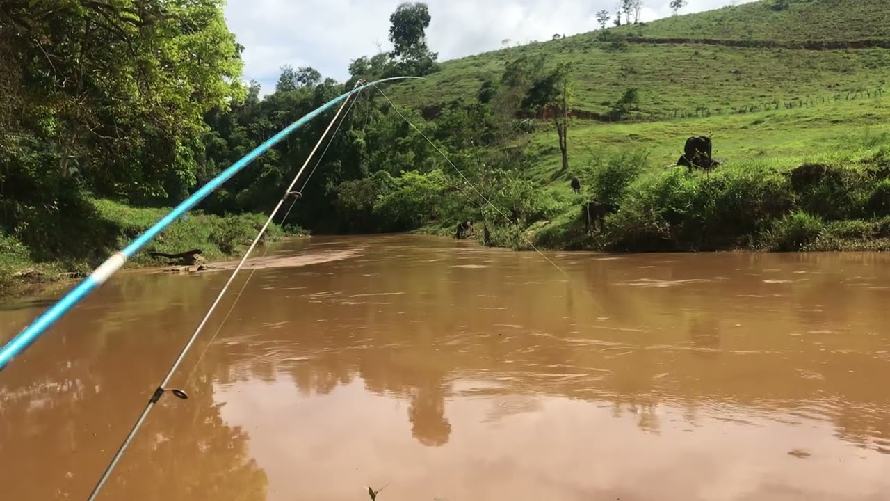 Em buscas das tilápias no rio turvo duas barras MG