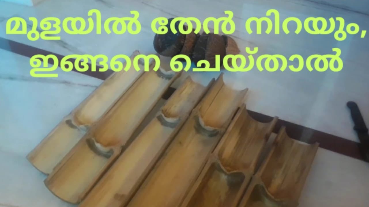 make a hive out of bamboo |  മുള കൊണ്ടുള്ള ചെറു തേനീച്ചകൂട്
