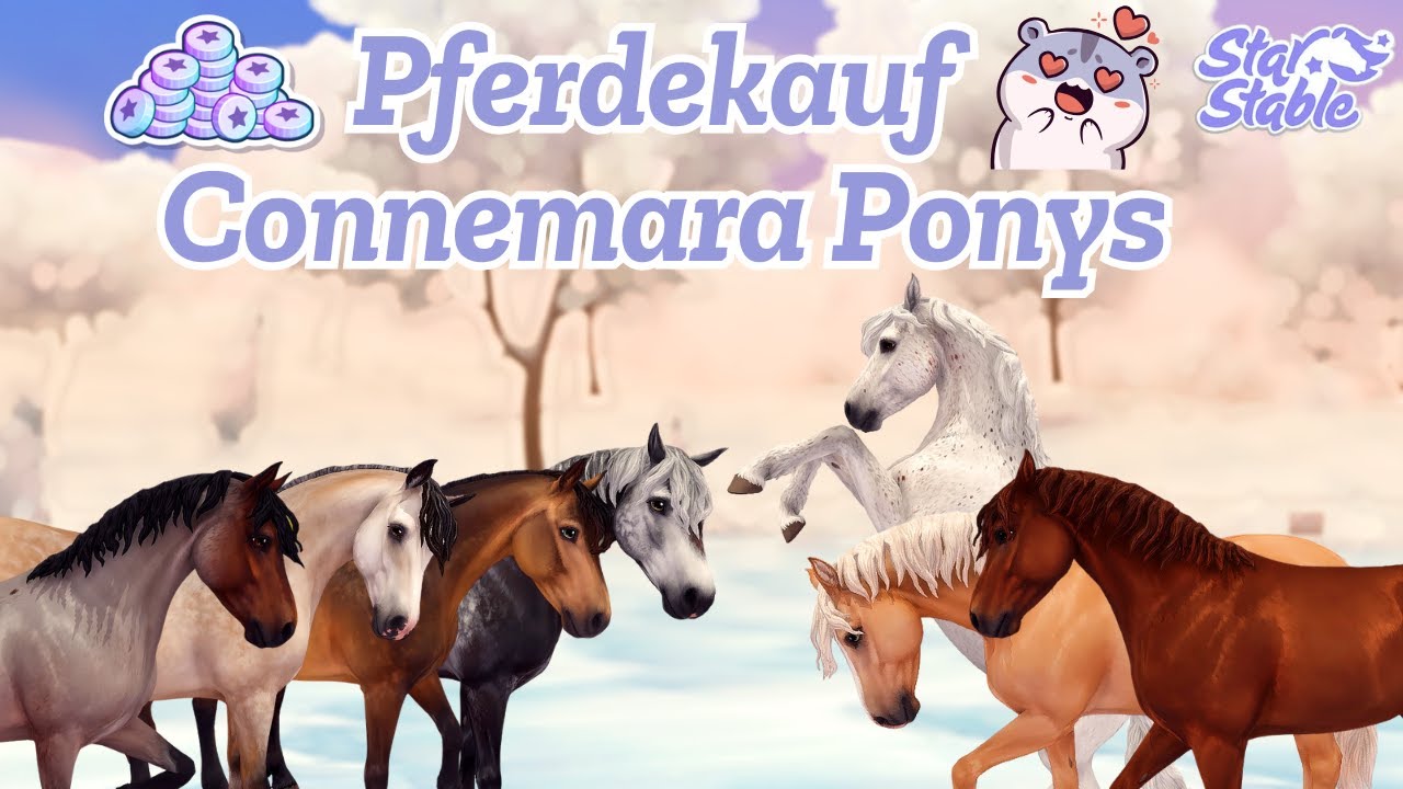 SSO 🐴 SO SWEET 😍 ICH KAUFE ALLE NEUEN CONNEMARA PONYS 💸