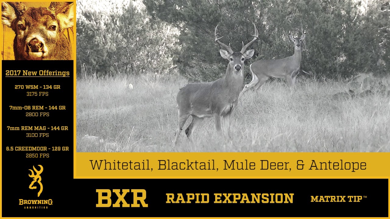 BXR Deer Rifle Ammunition