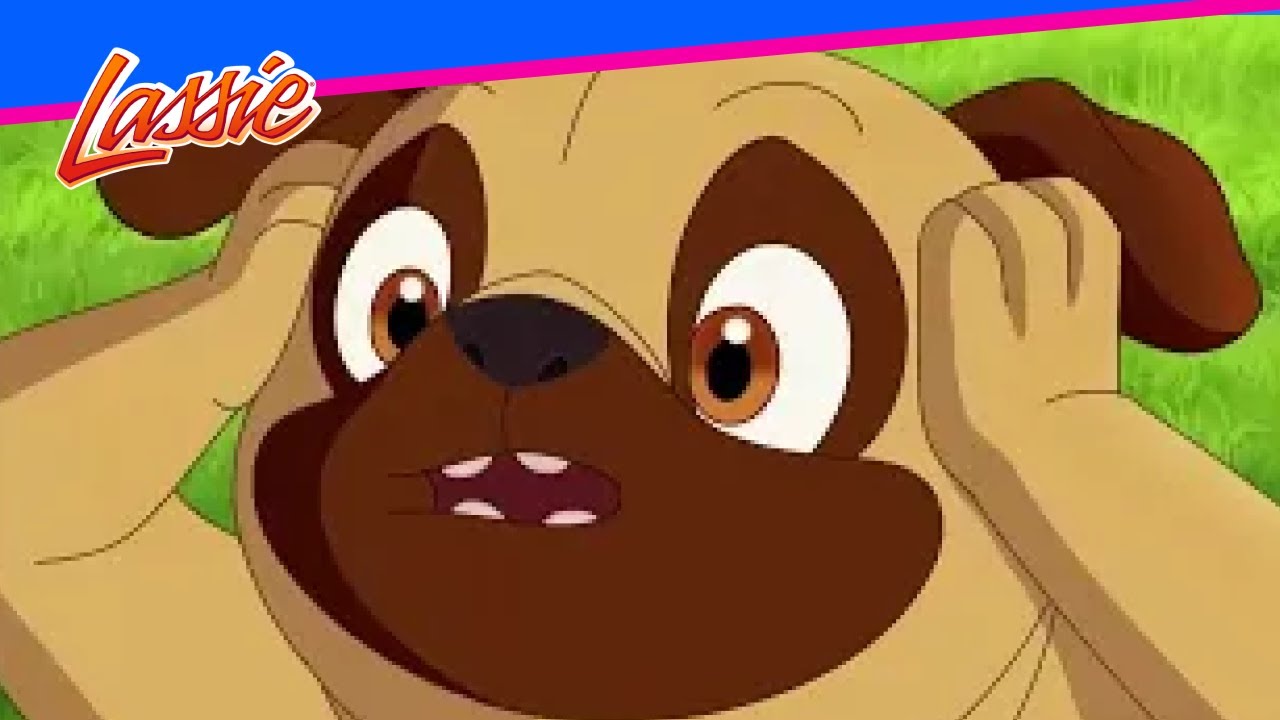 🐶 Dog to the Rescue: Condor, Kitten & Harvey’s Secret Adventure! 🏞️ @VIEWEDKidsZone