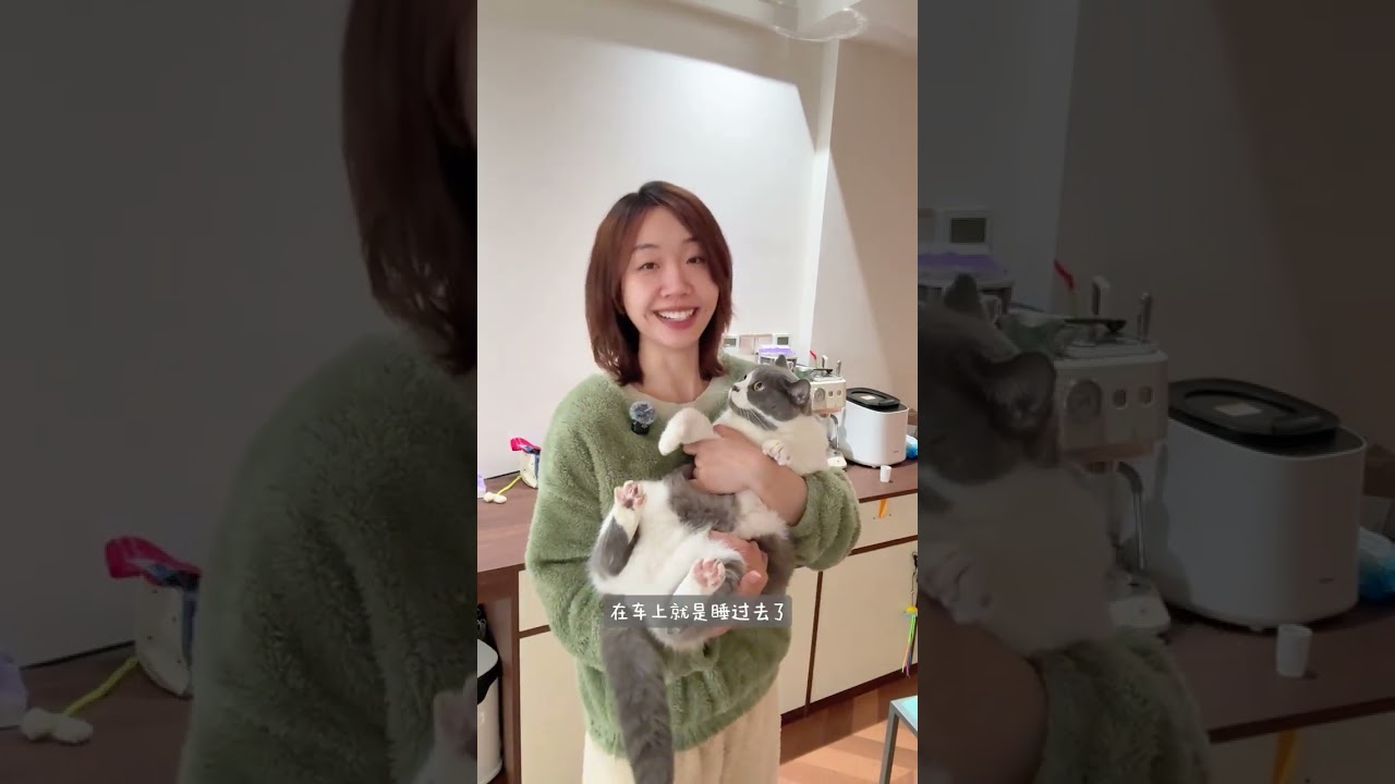 A nanny-level tutorial on taking a cat back to your hometown to prevent stress#Novice cat