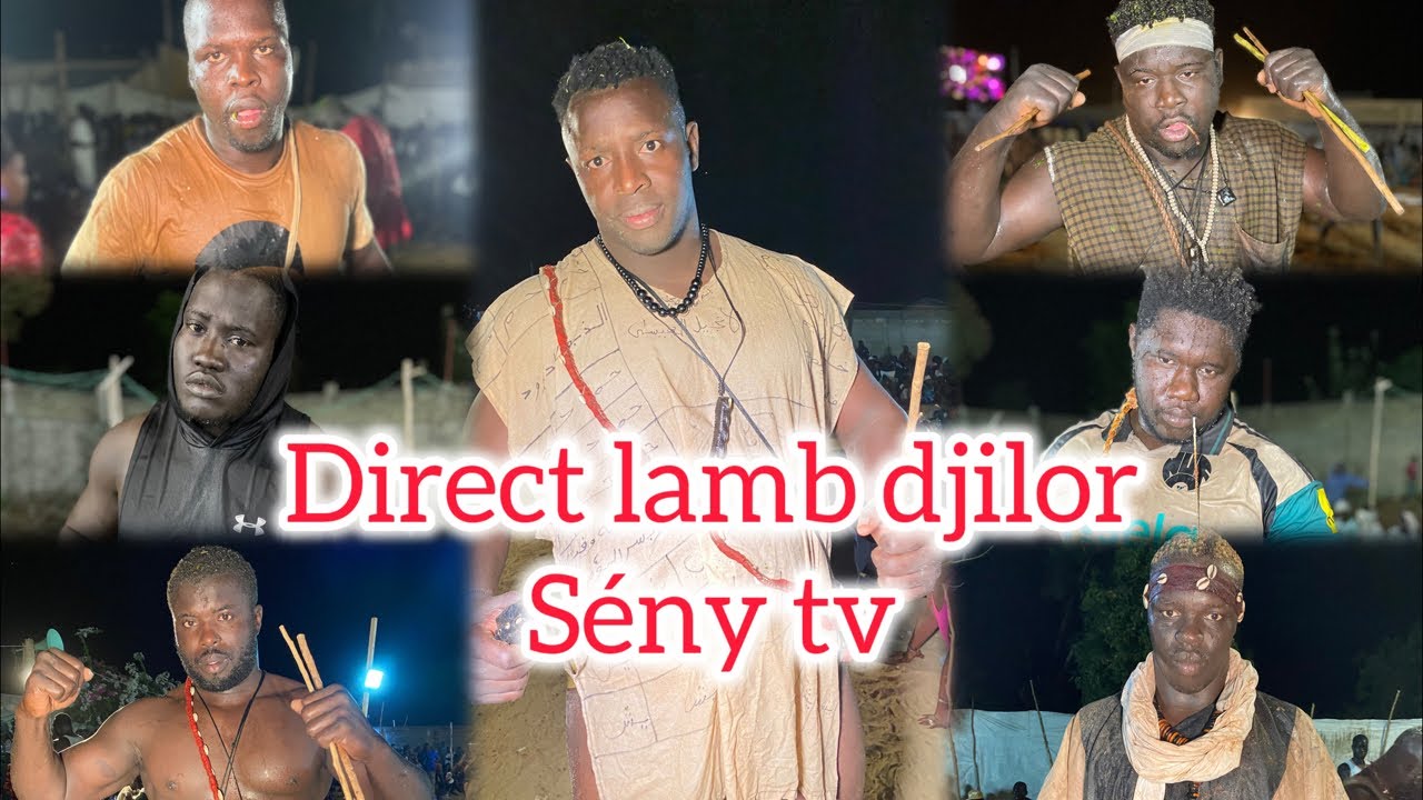 Direct lamb DJILOR le 14 février 2026