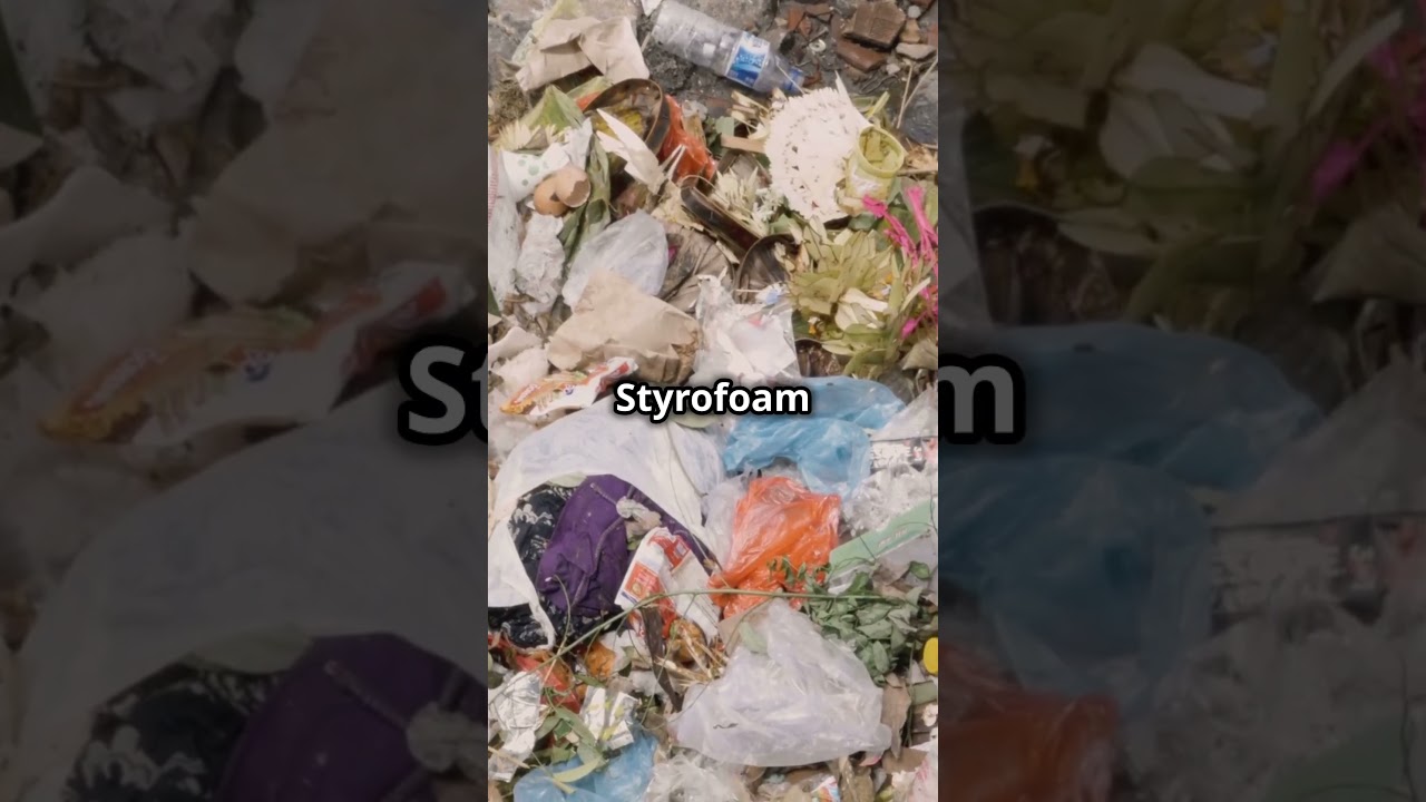 Ban Single Use Plastic: Top Countries Making a Difference 🌍💪