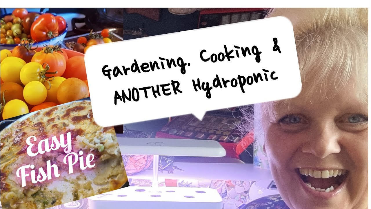 Easy Peasy Delicious Fish Pie, Gardening  & ANOTHER  Hydroponic 🫣