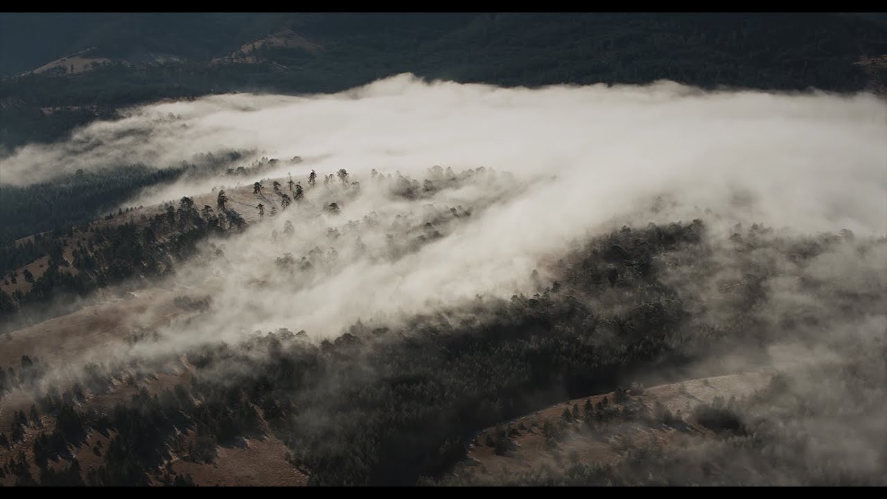 Aerial film - Misty morning on beautiful mountain Zlatibor - DJI Inspire 2