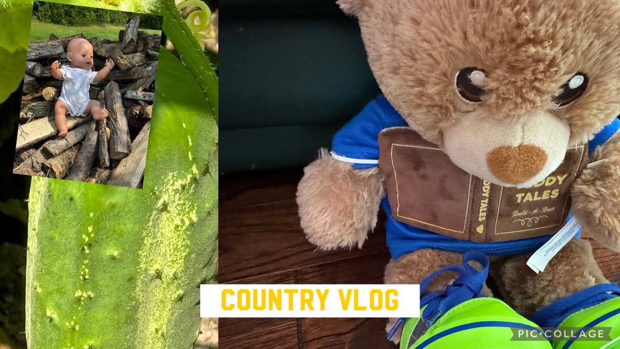 Country VLOG
