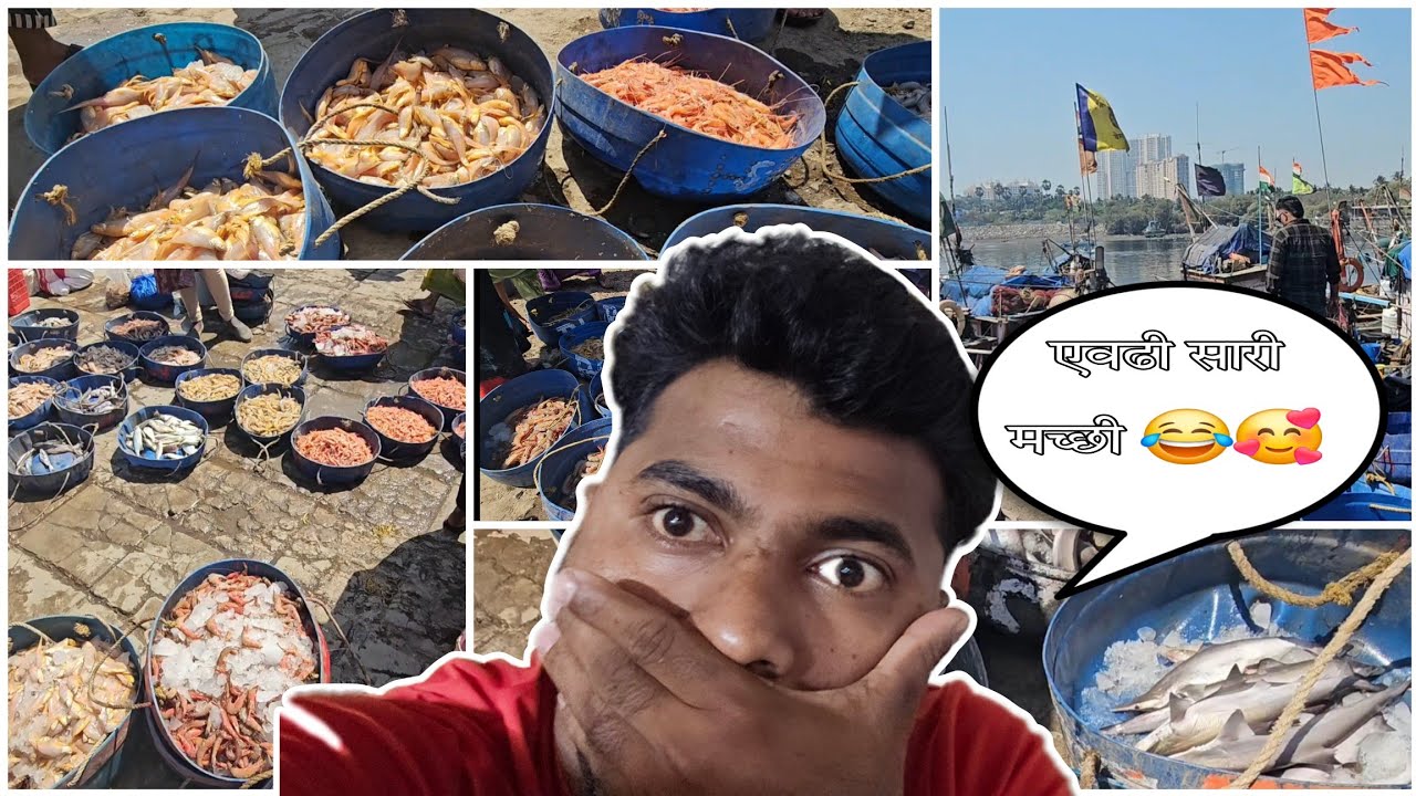 Famous Fish Market In Mumbai 🥰😍 | Versova Fish Market | #vsguru #vs_guru #VS_GURU