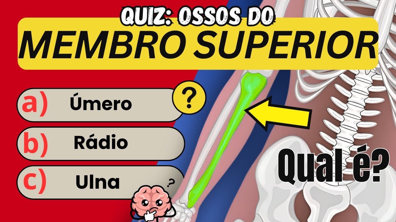 Você Conhece TODOS os Ossos do Membro Superior? 🤔🦴 | Quiz de Anatomia