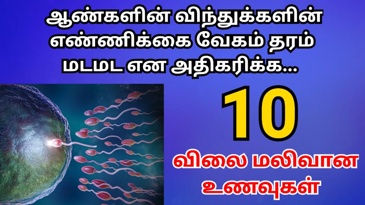 விந்துக்களின் எண்ணிக்கை அதிகரிக்கச் செய்யும் முக்கிய உணவுகள் | Sperm count,Increase sperm count