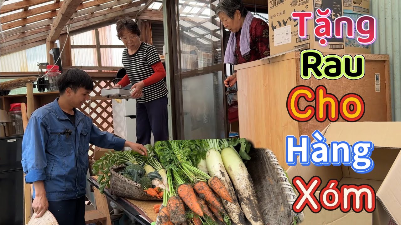Nhổ cà rốt, củ cải trắng và súp lơ tặng các cụ hàng xóm và được các cụ mời ở lại ăn trưa.