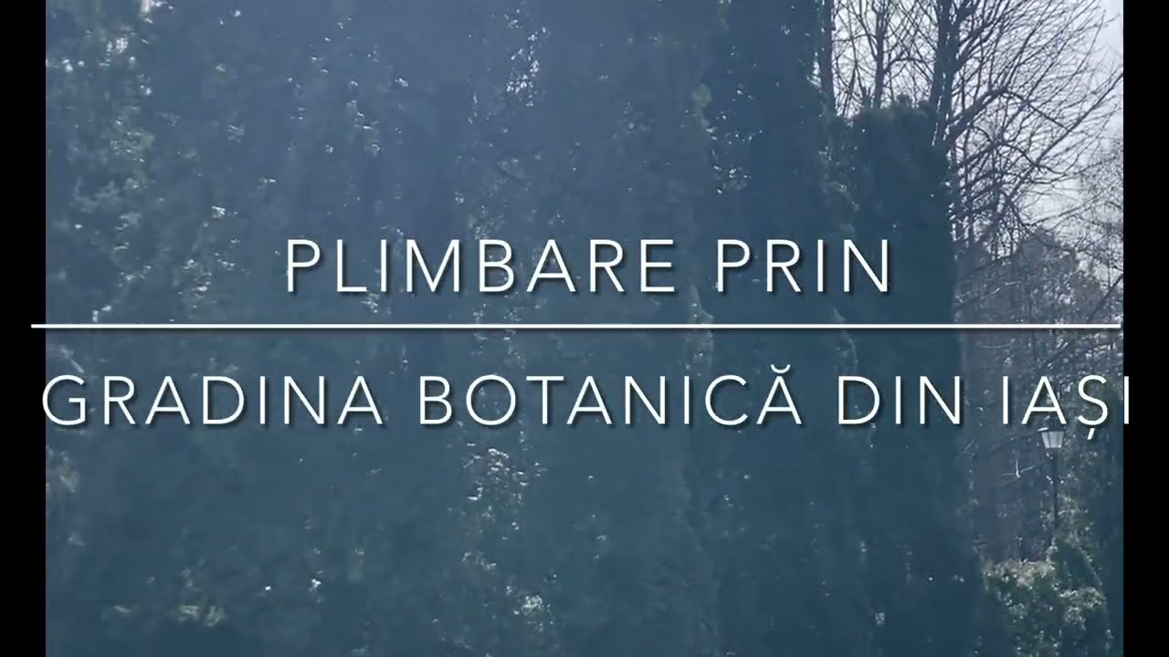 Plimbare prin Grădina Botanică din Iași