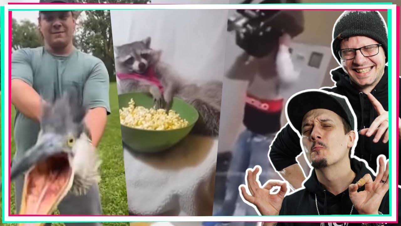 Memes, die dir heute den Tag retten... | UNUSUAL MEMES 153 | Reaktion