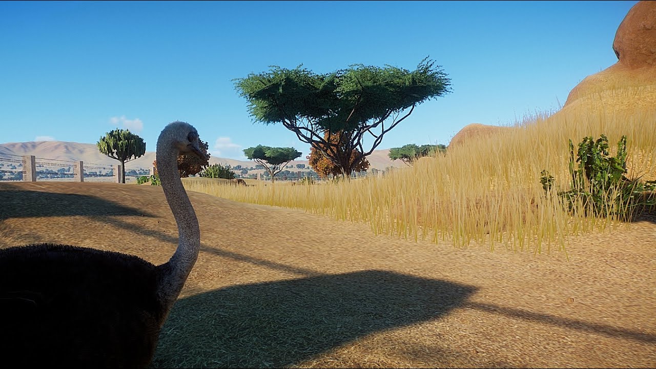 Ostrich Habitat | Speed Build | Planet Zoo