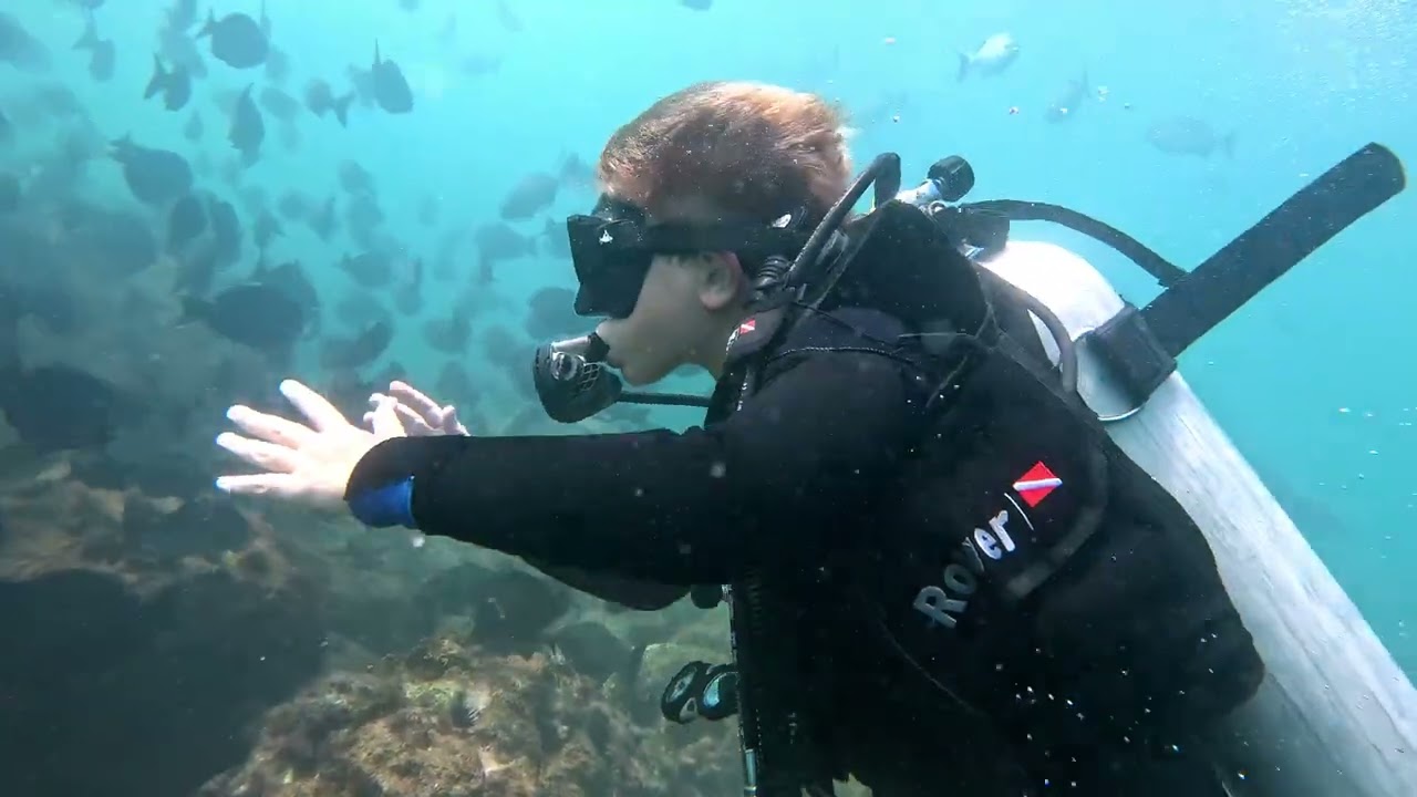 Curso de mergulho Open Water Diver Padi
