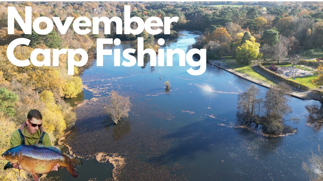 **NOVEMBER CARP FISHING** The November vlog