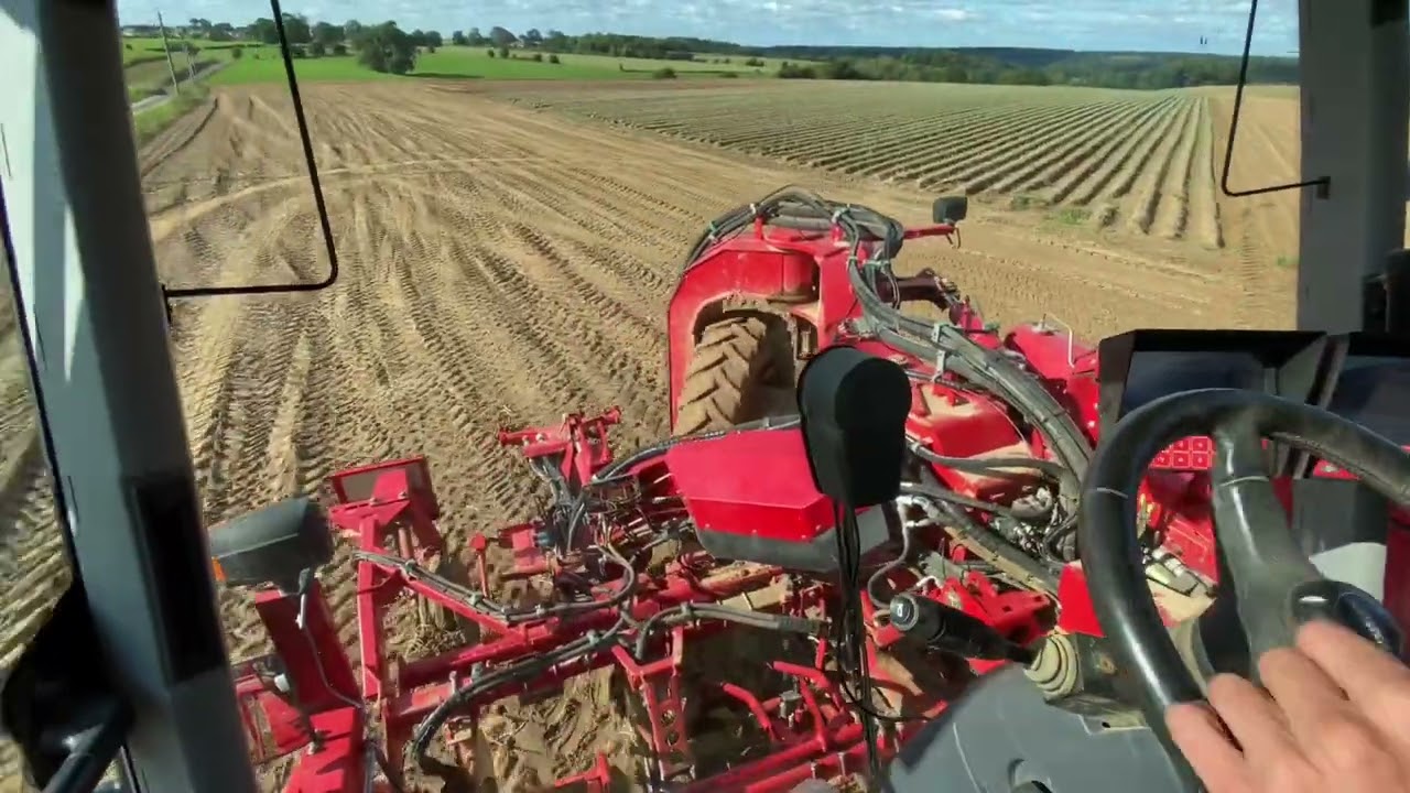 Arrachage de pommes de terre | GRIMME VARITRON 270
