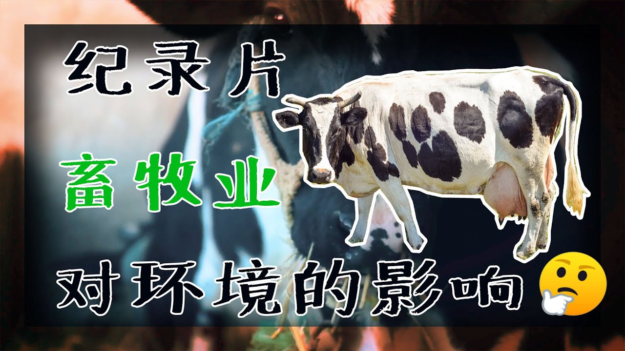 畜牧业对于环境的影响[微纪录片]