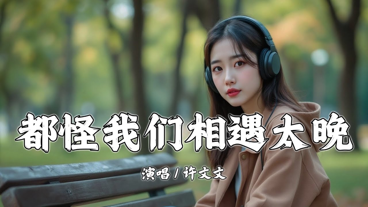 都怪我们相遇太晚 - 许文文『都怪我们这辈子相遇太晚，错过你是我一生的遗憾』【拼音動態歌詞 | PinYin Lyrics】