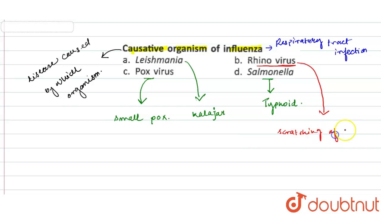 Causative organism of influenza