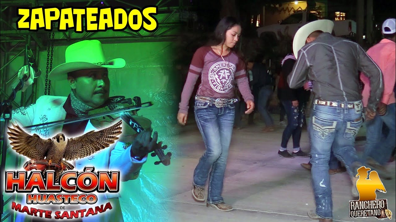 Halcón Huasteco - El Violin Alegre Pavido navido y lejos de mi tierra