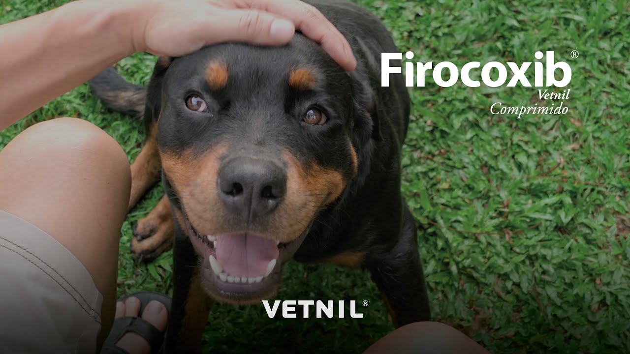 Firocoxib Vetnil&reg;️ Comprimido