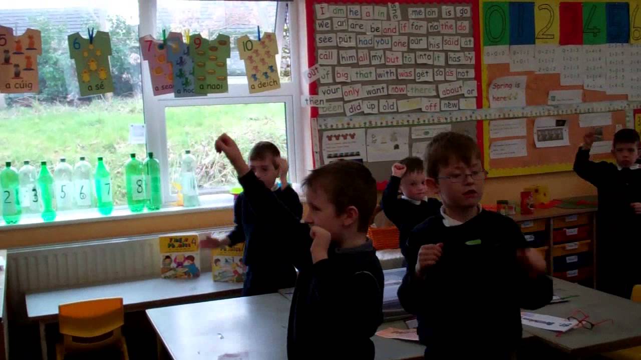 Active LIPDUB 2014: St.Brendans PS Birr