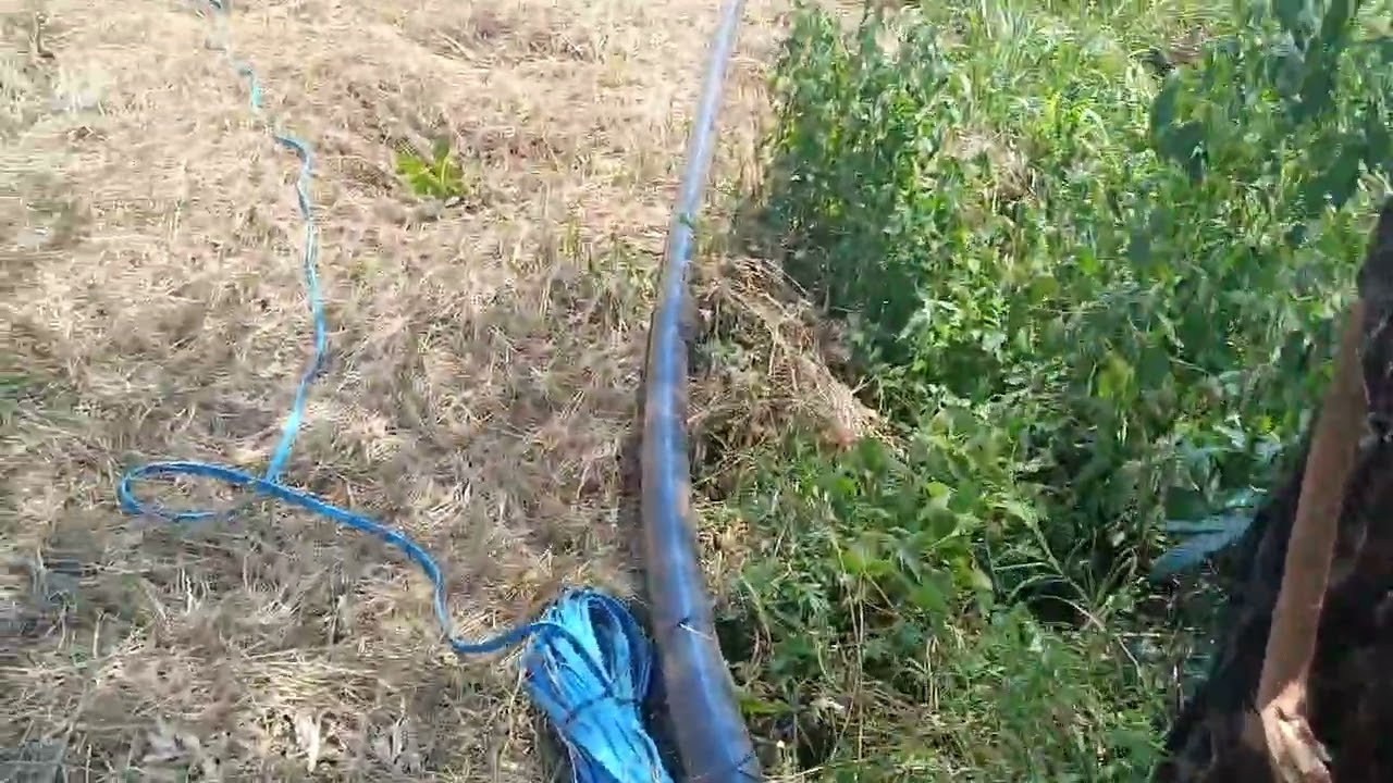Muguka farm irrigation with 18kWp solar in Embu county 