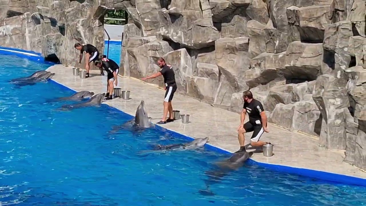 Batumi Dolphinarium 2025