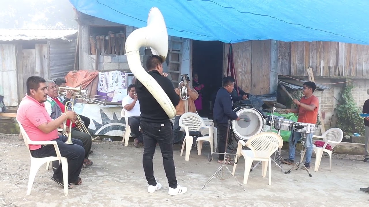 Que estilazo trae está banda 🥁 Ilusión de Tilapa mira nomás chulada 🎺🎷🎺
