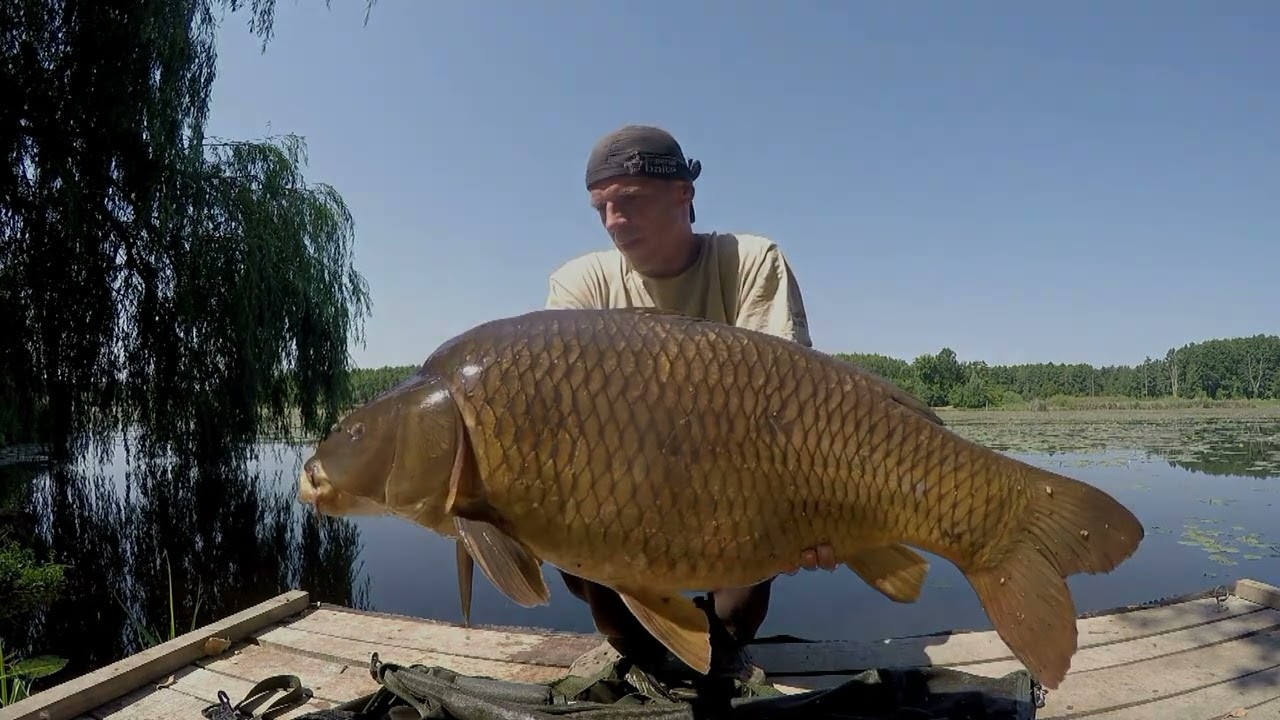Carp fishing in the green hell