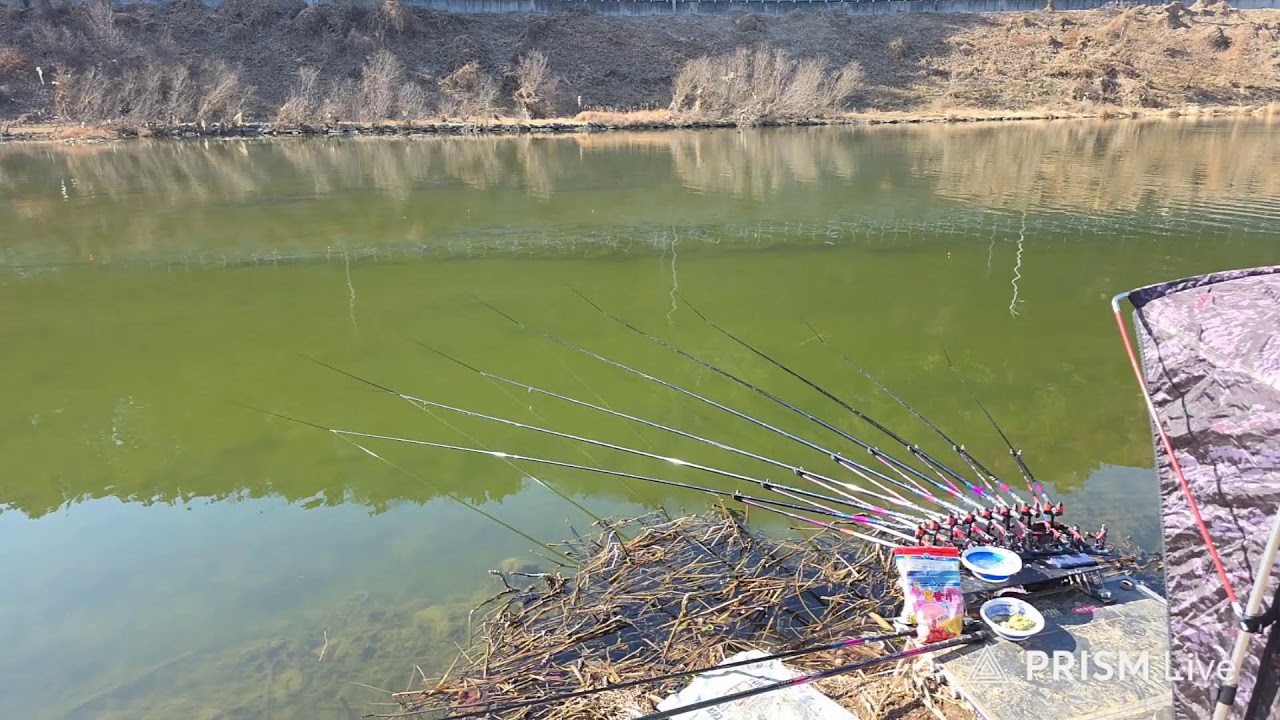 현풍수로 2차전 ~ #붕어낚시