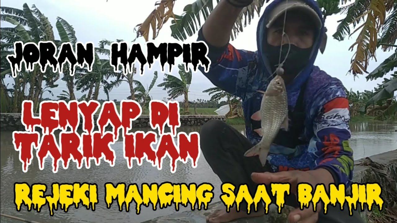 Mancing di Pakuhaji || joran tegeg hampir terseret ikan tawes babon