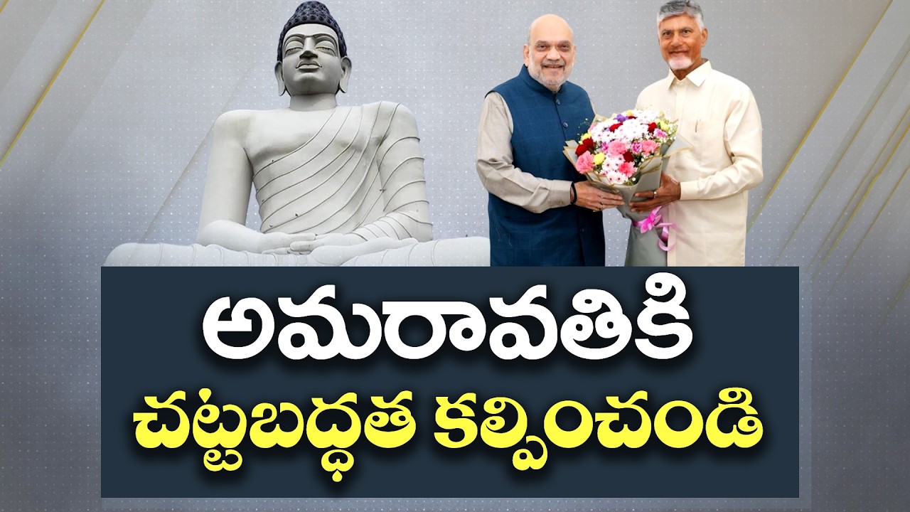 CM Chandrababu Meetings With Central Leaders for Amaravati Legal Status