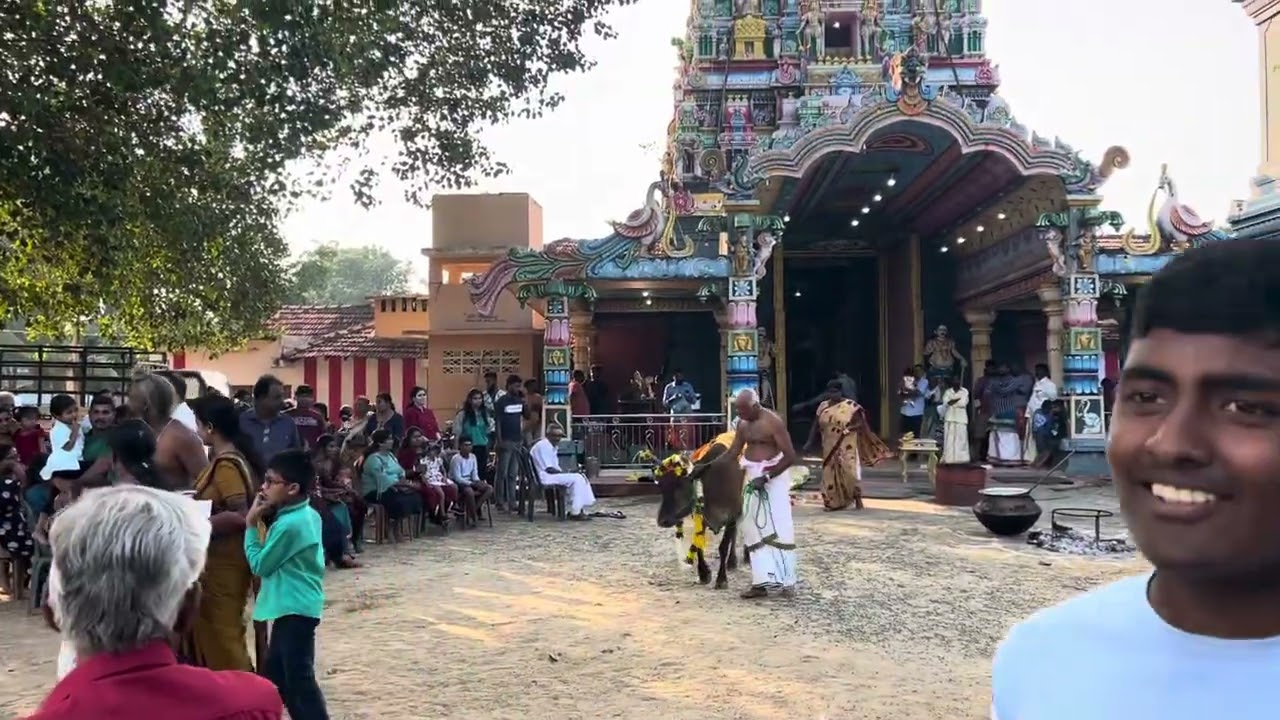 பட்டிப்பொங்கல் கல்வளை பிள்ளையார் ஆலயம் 🛕 
