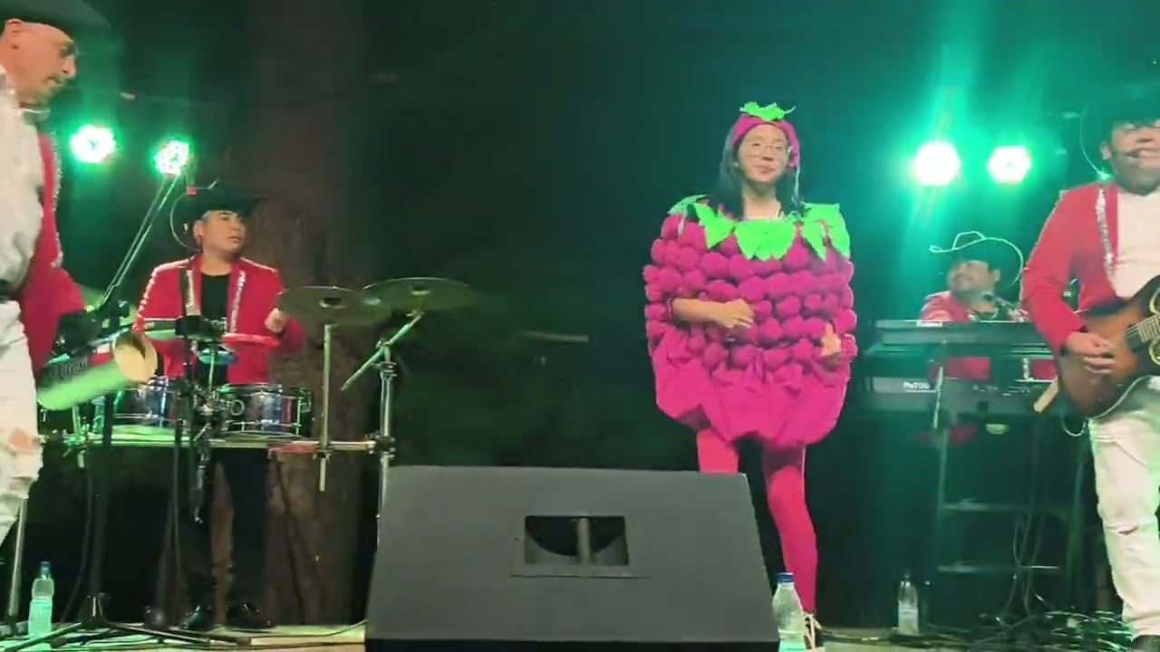 Ritmo Salvaje -fiesta de la frambuesa 