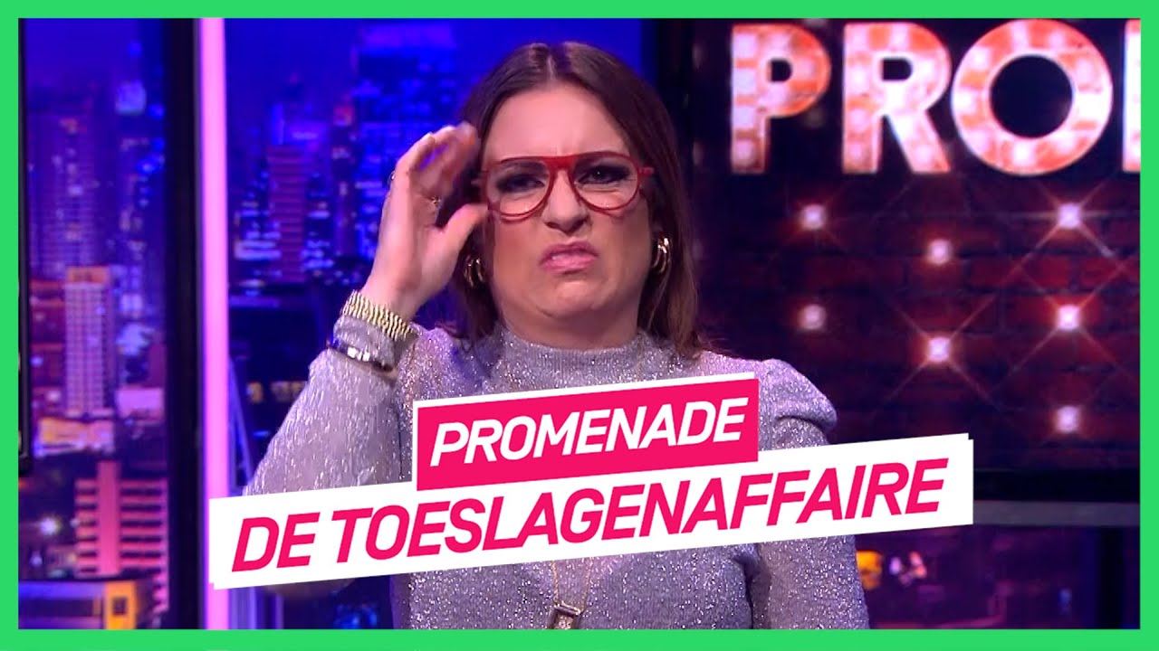 Over de toeslagenaffaire | PROMENADE | NPO 3 Extra