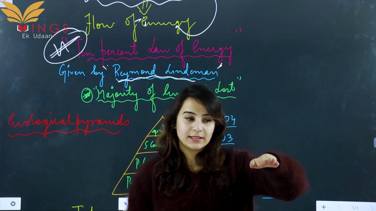 Lec 07-Ecological Pyramids, Food Chain & Food web||JKPSC||KAS||IAS||UPSC