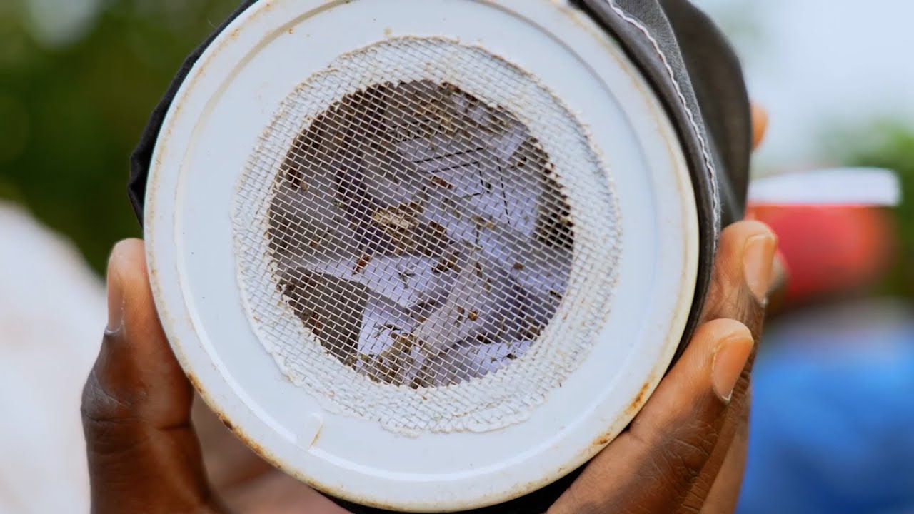 How CDC is supporting the global fight in malaria prevention and elimination