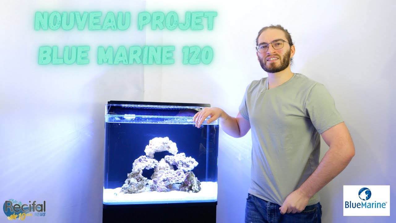 Blue Marine Reef 120 pour un animal de dingue