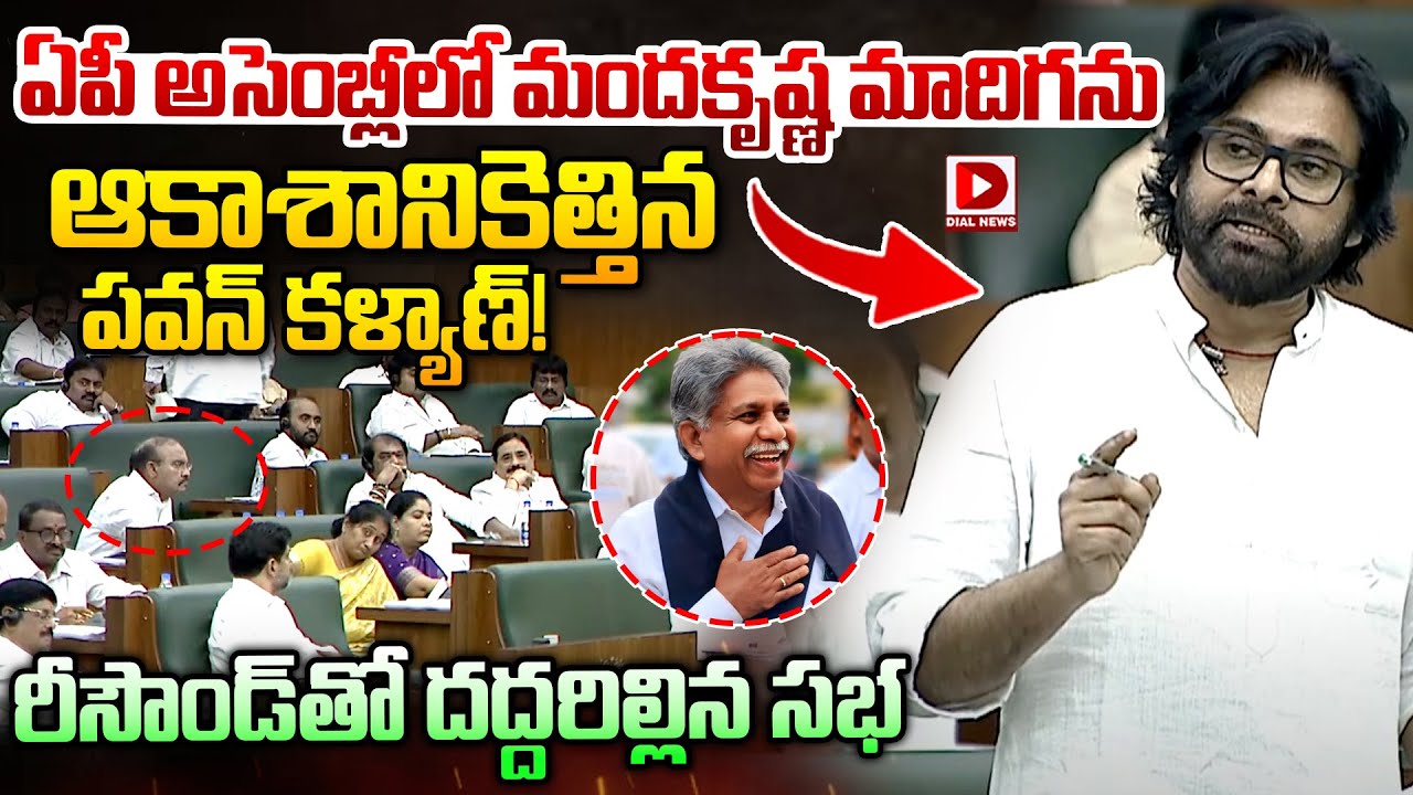 అసెంబ్లీలో మందకృష్ణ మాదిగను ఆకాశానికెత్తిన పవన్.! Pawan Kalyan Praises Krishna Madiga in AP Assembly