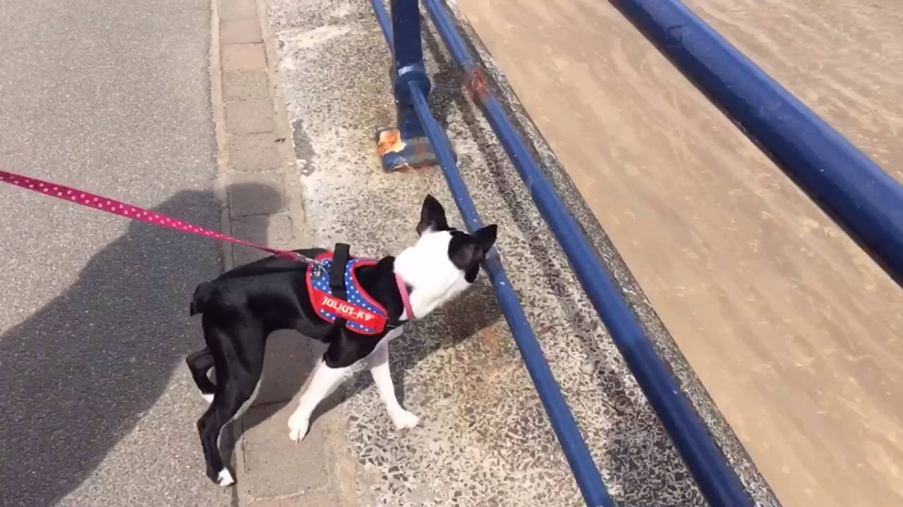 Filey Seafront Walk